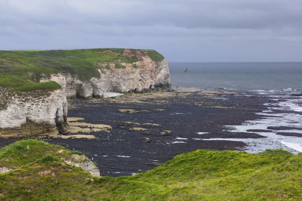 Klify w Flamborough Head z widokiem na morze — Zdjęcie stockowe