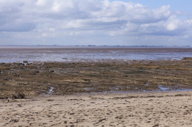 Düşük tide, nokta tabiatı attınız çamur daireler