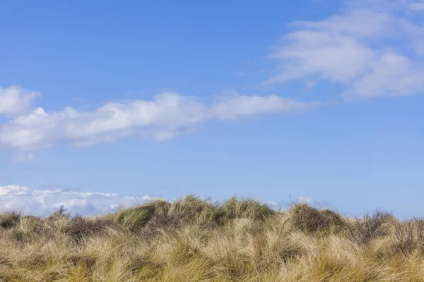 Sunny blue spring time sky and grassy hill — Stock Photo, Image