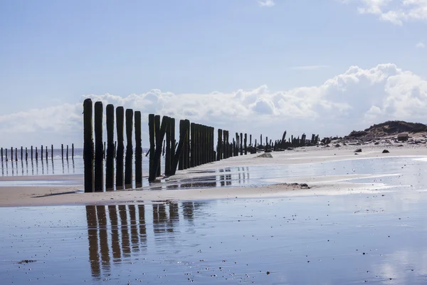 Man made wooden structures Spurn Point Reino Unido — Fotografia de Stock