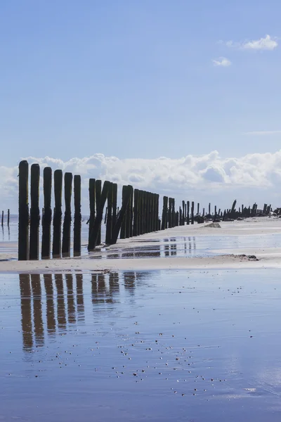 Man made wooden structures Spurn Point UK — Stock Photo, Image