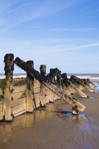 Деревянные волнорезы на берегу моря — стоковое фото