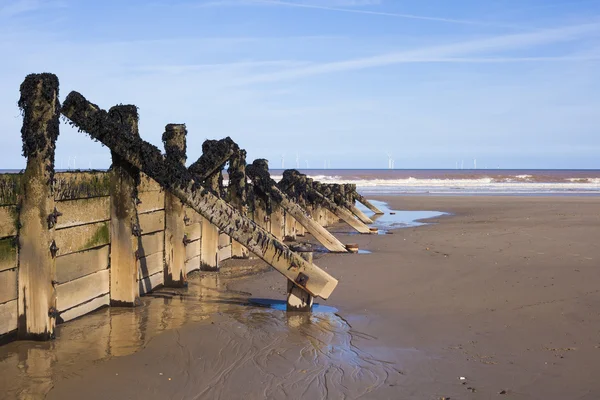 Деревянные волнорезы на берегу моря — стоковое фото
