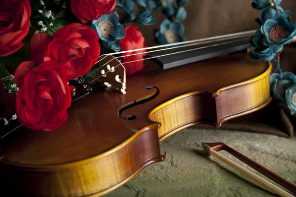 ヴァイオリンと花と弓 — ストック写真