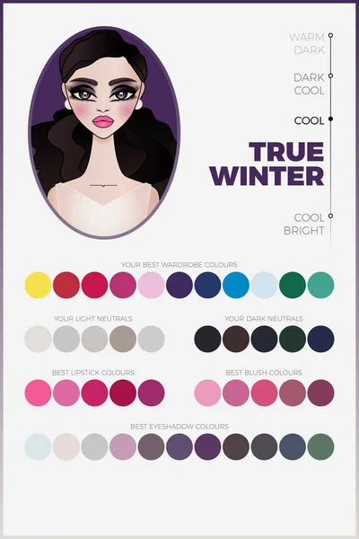 Paleta Análisis Color Estacional Para Gráfico Vectorial True Winter Con — Vector de stock