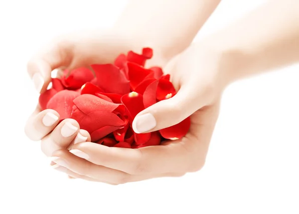 Hands With Petals — Stock Photo, Image