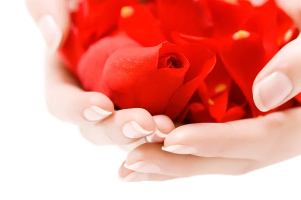 Hands With Petals — Stock Photo, Image