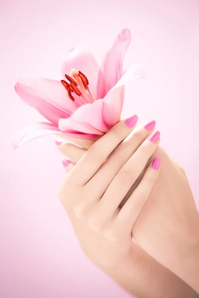 Hands With Lily — Stock Photo, Image