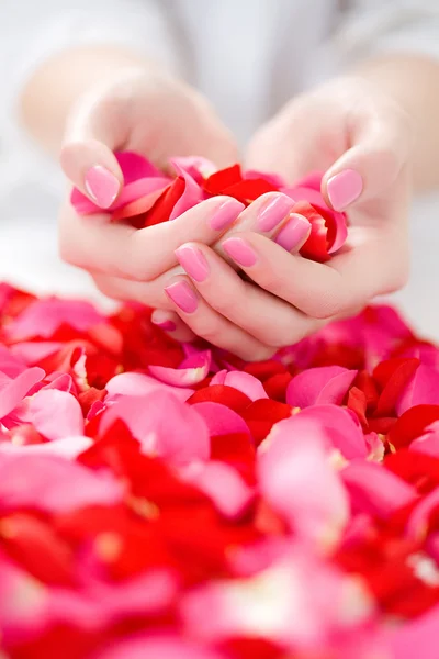 Hands With Petals — Stock Photo, Image