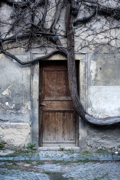 神秘的なドア — ストック写真