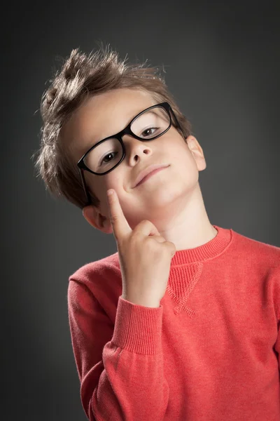 Five Year Old Boy — Stock Photo, Image