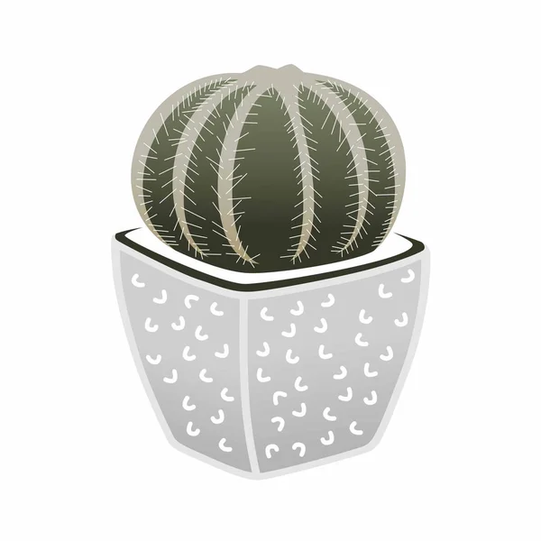 Circle Cactus Plant Design Pot Image Graphic Icon Logo Design — 스톡 벡터