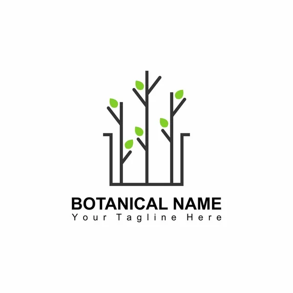 Plants Pot Using Line Shape Image Graphic Icon Logo Design — стоковый вектор