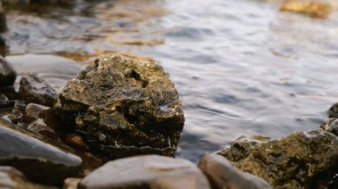 A pristine view of crystal clear water flowing over scattered rocks and smooth pebbles on a sunny beach, capturing the refreshing and tranquil essence of a natural shoreline