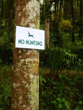 Ormandaki ahşap bir çite asılı 