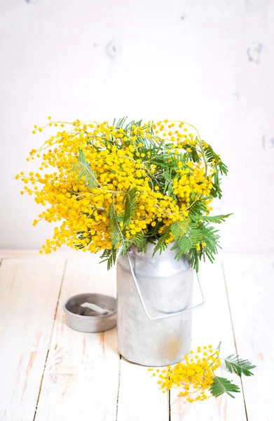 Mimosa flores en una lata de leche de metal vintage —  Fotos de Stock