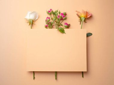 Bahar çiçekli arkaplan şablonu