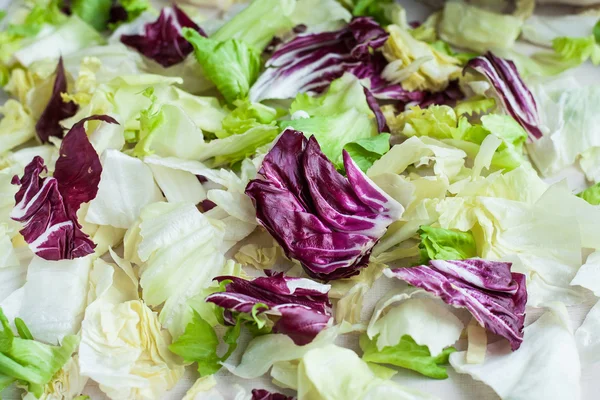 Feuilles de salade avec iceberg, laitue romaine et radicchio comme ba — Photo