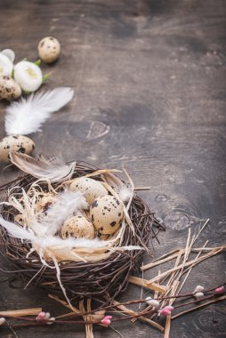 Paskalya yumurtaları dekorasyon