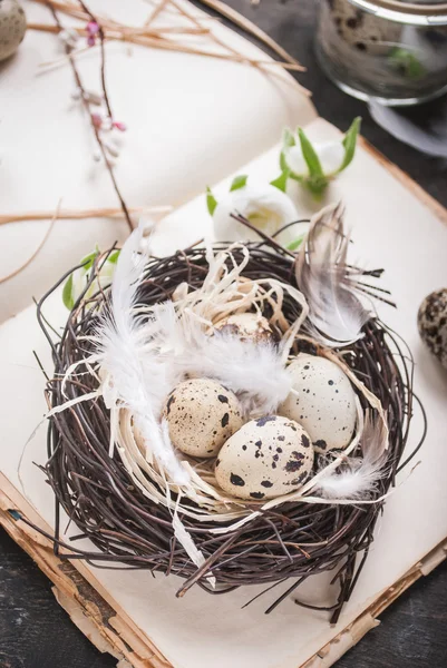 Pasen eieren decoratie — Stockfoto