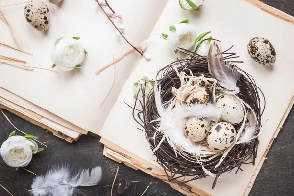 Easter eggs decoration — Stock Photo, Image