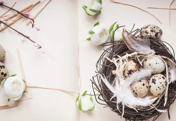 Oeufs de Pâques décoration — Photo