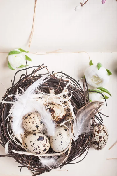 Easter eggs decoration — Stock Photo, Image