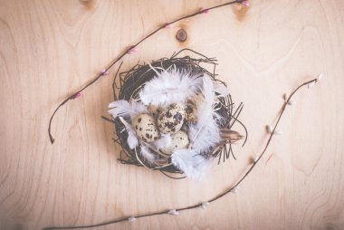 Yumurta ve çiçekli Paskalya arkaplanı