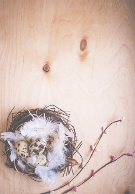 Yumurta ve çiçekli Paskalya arkaplanı