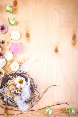 Paskalya yumurtaları dekorasyon