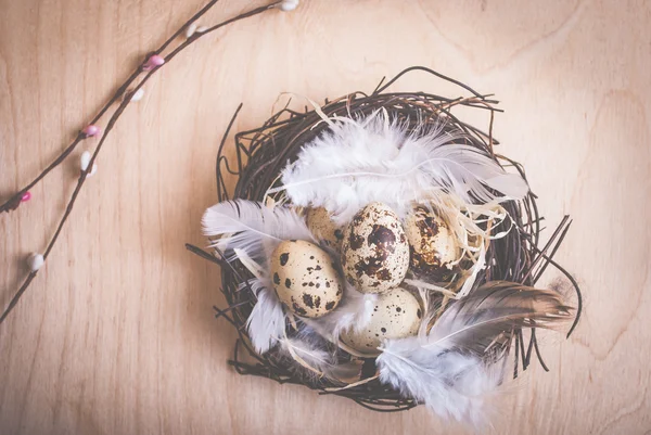 Pasen achtergrond met eieren en bloemen — Stockfoto