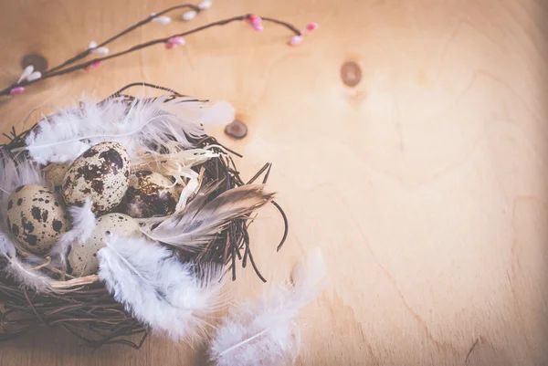 Fundo de Páscoa com ovos e flores — Fotografia de Stock