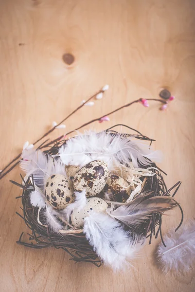 Fondo de Pascua con huevos y flores —  Fotos de Stock