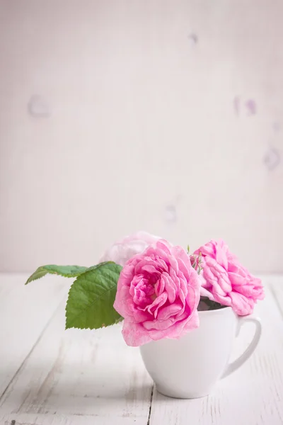 白い木製の背景にピンクの紅茶バラ — ストック写真