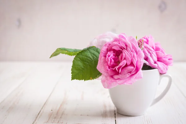 Rosas de chá rosa em um fundo de madeira branco — Fotografia de Stock