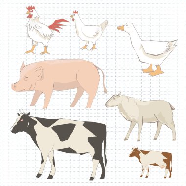 Bir grup çiftlik hayvanı.