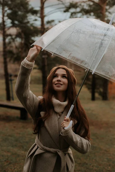 一个穿着灰色外套的长发少女拿着一把透明的伞. 图库图片