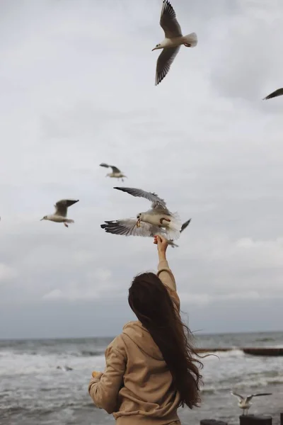 一个穿着棕色夹克长发的小女孩在大海的背景下喂海鸥 海鸥飞着从女孩手里接过面包 在多云的天气里 一个女孩在兴奋的天空背景下喂海鸥 免版税图库照片