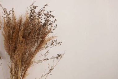 Beyaz arka planda, yazı için yeri olan büyük bir buket kuru ot. Beyaz bir izolasyonda bir buket ölü ahşap ve yazıtlar için bir yer. Beyaz bir duvarın içinde..