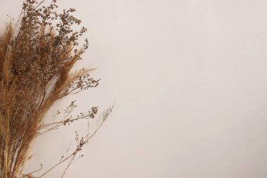 Beyaz arka planda büyük kuru bir buket ve yazıtlar için bir yer. Beyaz arka planda bir buket kuru ot. Beyaz arkaplanda, metin için yeri olan dekoratif bir buket..