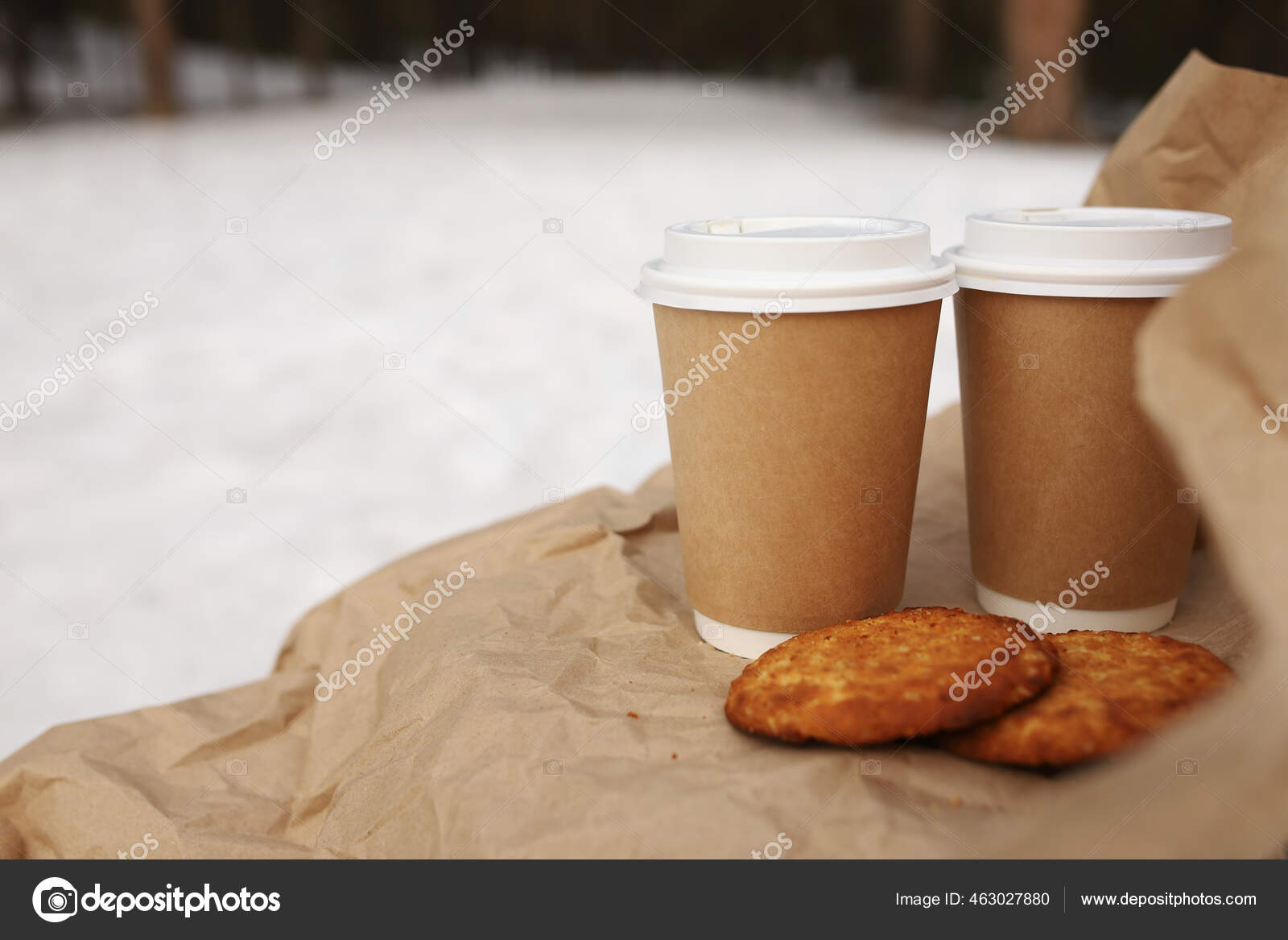 Кофе Двоих Сосновом Лесу Вкуснейшим Овсяным Печеньем Завернутым.