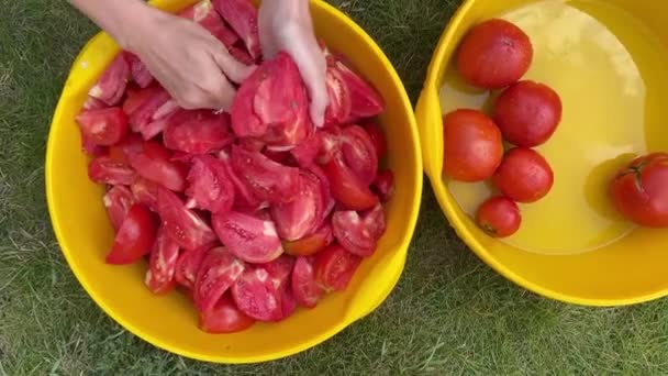 Mani Donna Tagliano Pomodori Grandi Fette Sulla Strada Fare Salamoie — Video Stock