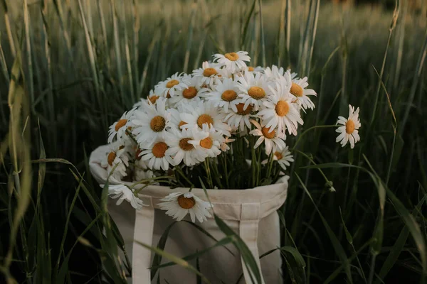 畑にはデイジーの花束付きのバッグがあります 白い布の袋にはデイジーの花束が入っています — ストック写真