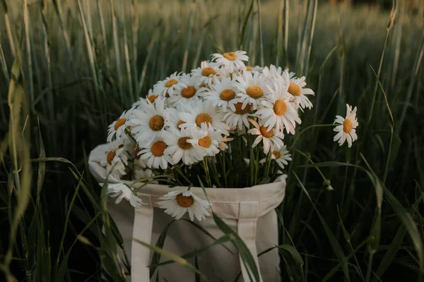 Bag Bouquet Daisies Field Bouquet Daisies White Cloth Bag — Stock Photo, Image