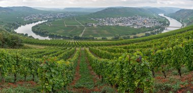 Ünlü Moselle Nehri döngü