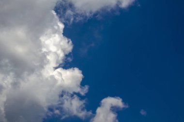 Mavi gökyüzü beyaz, kıvırcık bulutlarla kaplıdır.