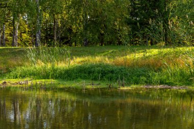 Sakin göl yüzeyi ve güzel çimenli kıyı