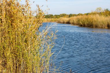 Sakin bir sonbahar gününde sakin bir nehir.