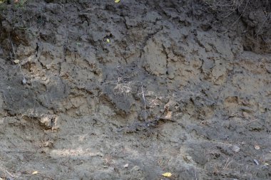 Uçurumun dokusu Dik kumlu sahillerin