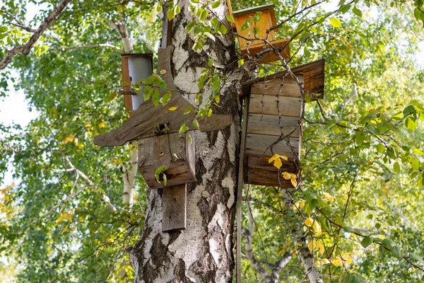 Wiosną Domek Dla Ptaków Drzewie Kilka Ptasich Domków — Zdjęcie stockowe